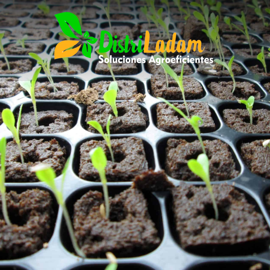 Bandejas para Germinación – Distriladam